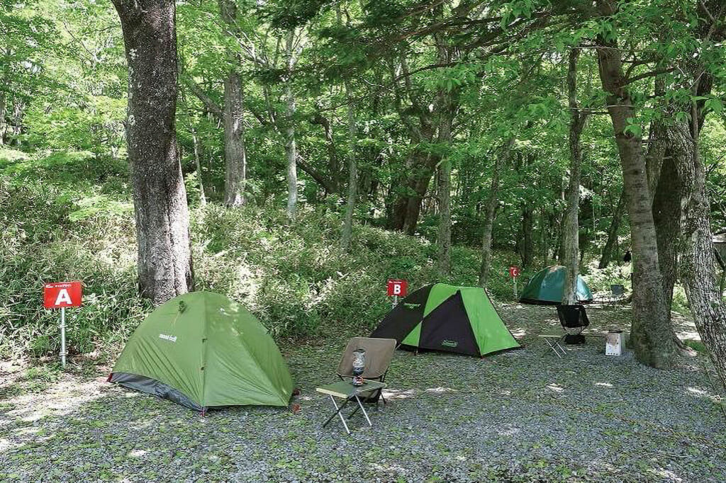 県立赤城公園キャンプ場のソロサイト