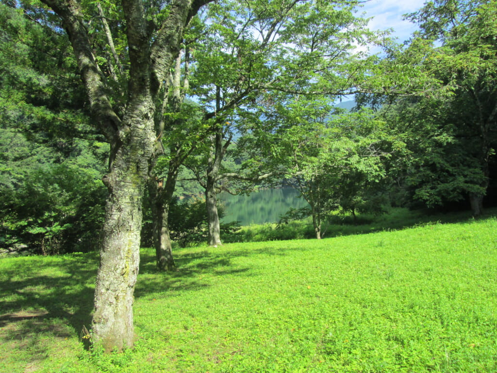 山のふるさと村キャンプ場のキャンプ場の敷地内