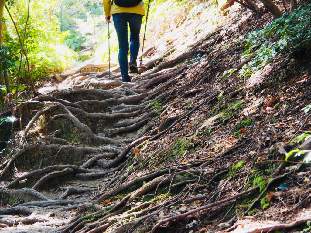 登山のイメージ