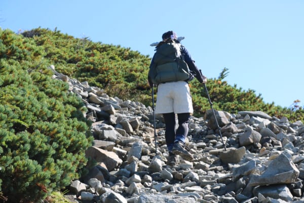 山道を歩くイメージ