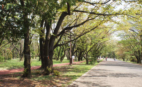 ステップアウトの手ぶらでPARK DAYCAMPプラン