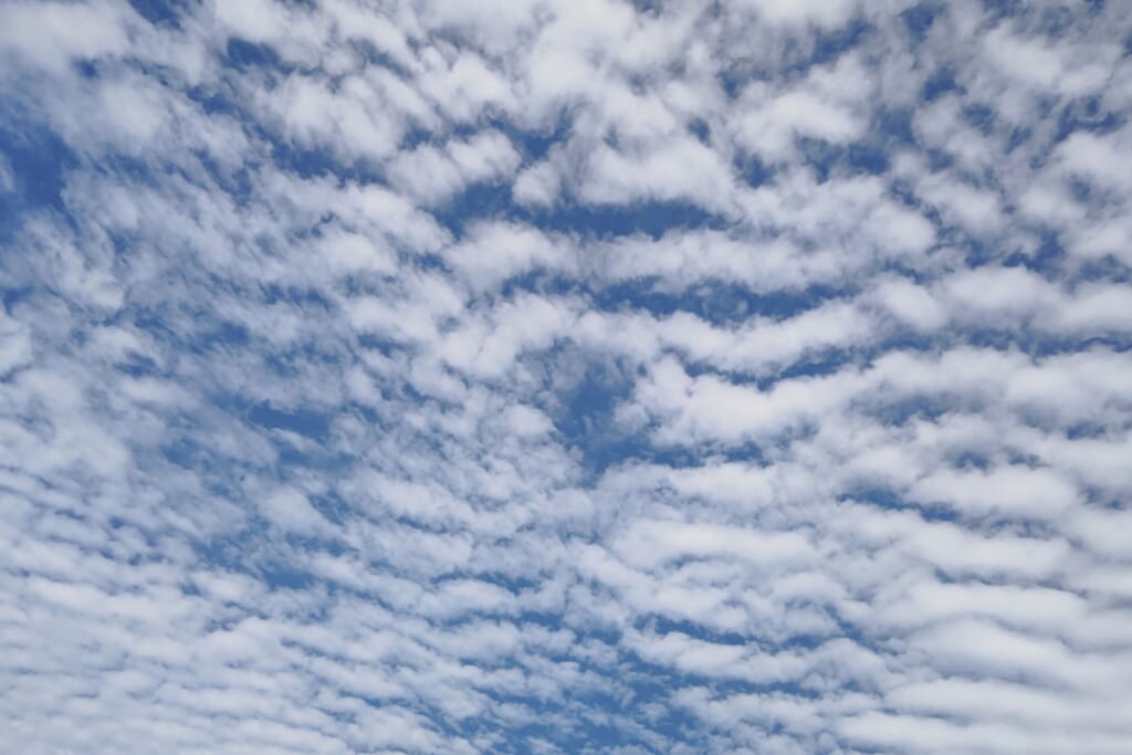 盆地の雲海