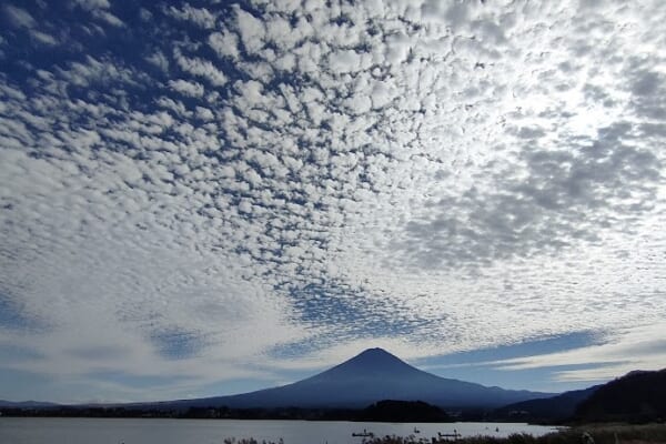 富士山から見える雄大な雲海