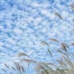 【画像】空に浮かぶ雲の正体は何？ 　雲のことを知って雲と仲良くなる「雲の図鑑」〜vol.09〜うろこぐも 〜 画像1