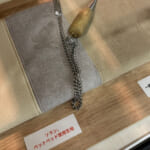 【画像】来場者から熱視線！　ペットと一緒に旅ができる可愛すぎで快適なバンコンバージョン 〜 画像1
