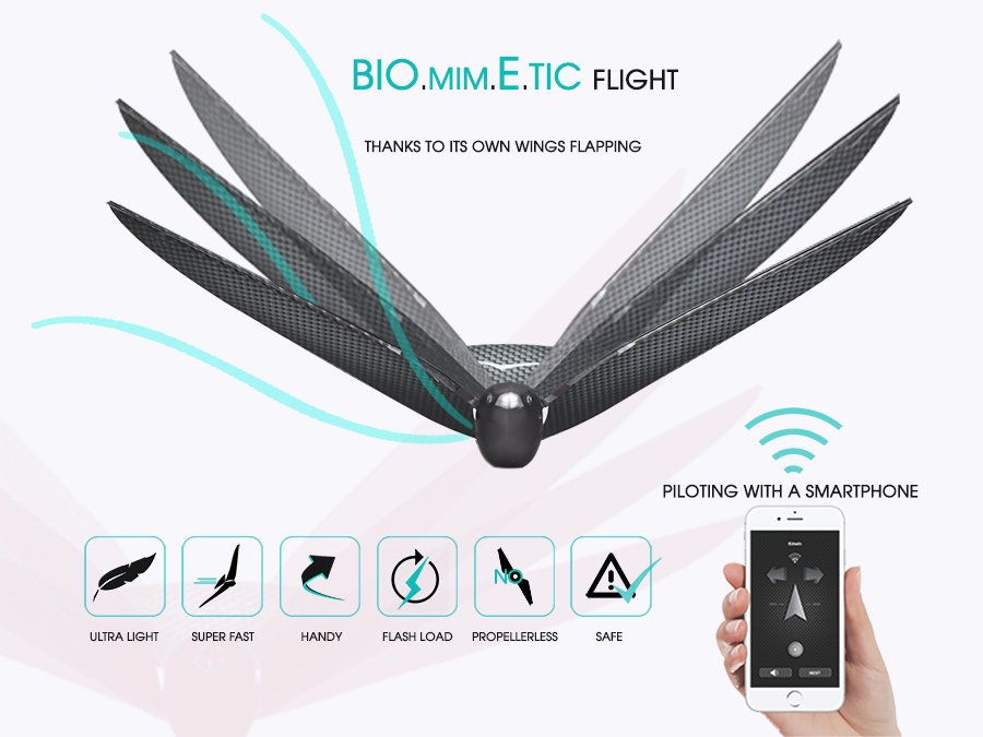 bionic birdのMeta-Bird