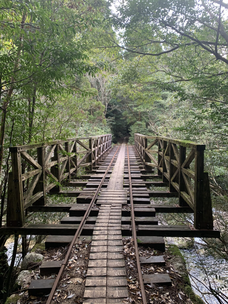 屋久島