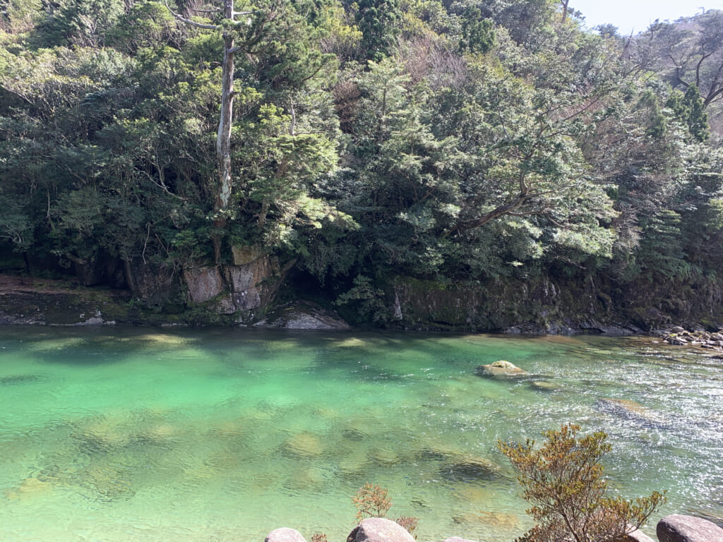 屋久島