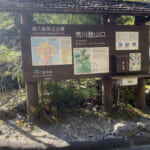 【画像】ついに樹齢7000年の縄文杉と対面！   屋久島・縄文杉を見に行く10時間トレッキング【vol.03　後編】 〜 画像1