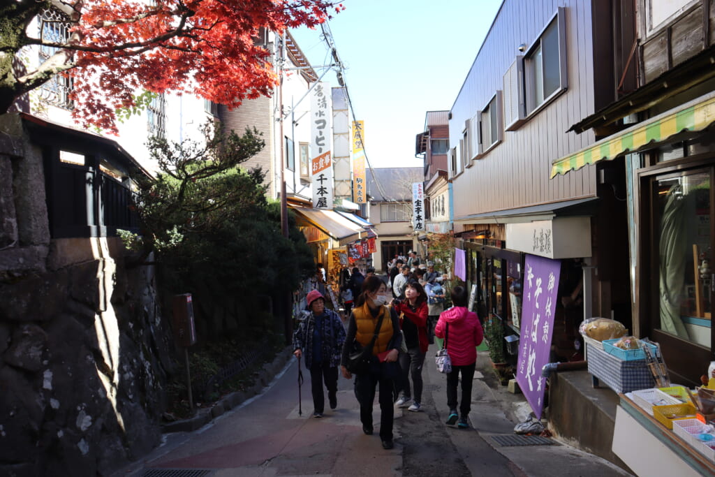 賑わう鳥居前通り