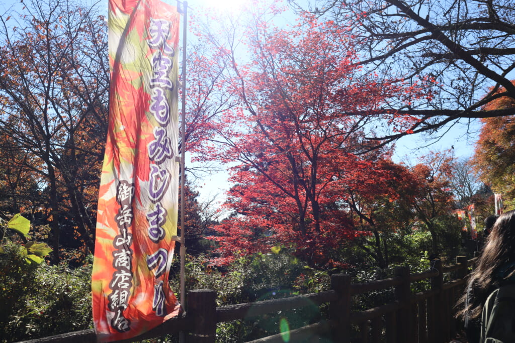 天空もみじ祭りの幟