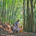 【画像】首都圏から至近の自由な冒険遊び場!!　休みになったら子連れで「つちざわの森」へGO！ 〜 画像1