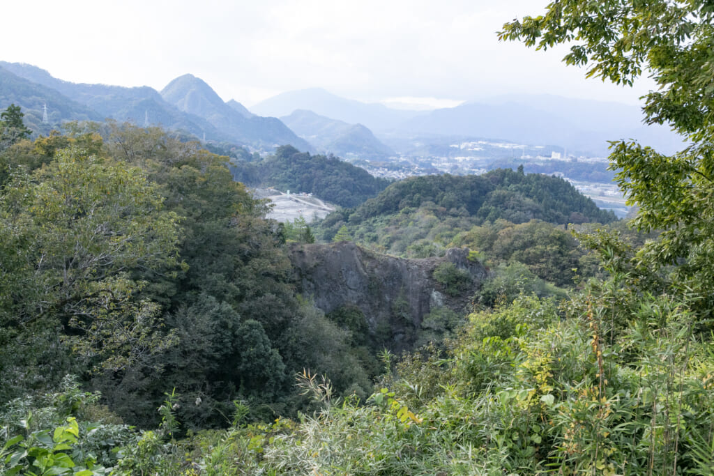 藤野