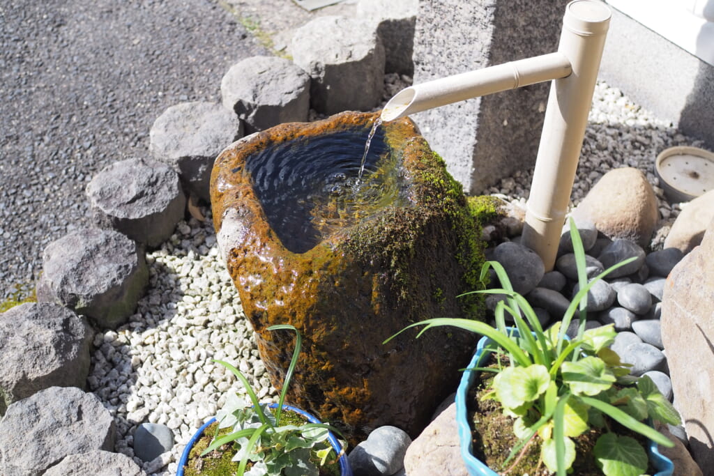 姫乃たま おそとで生きるもん 里咲りさ どじょう どじょうの蒲焼き 地酒 日本酒 吉田酒造 月山 島根県安来市