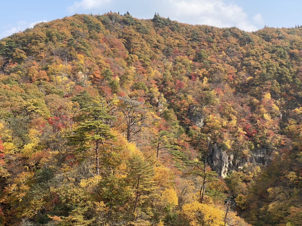 鳴子温泉キャンプ場