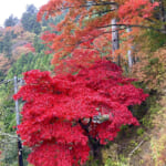 【画像】「山岳信仰」の聖地！ 初詣から年末詣まで1年中楽しめる「大山登山」の魅力とは 〜 画像1