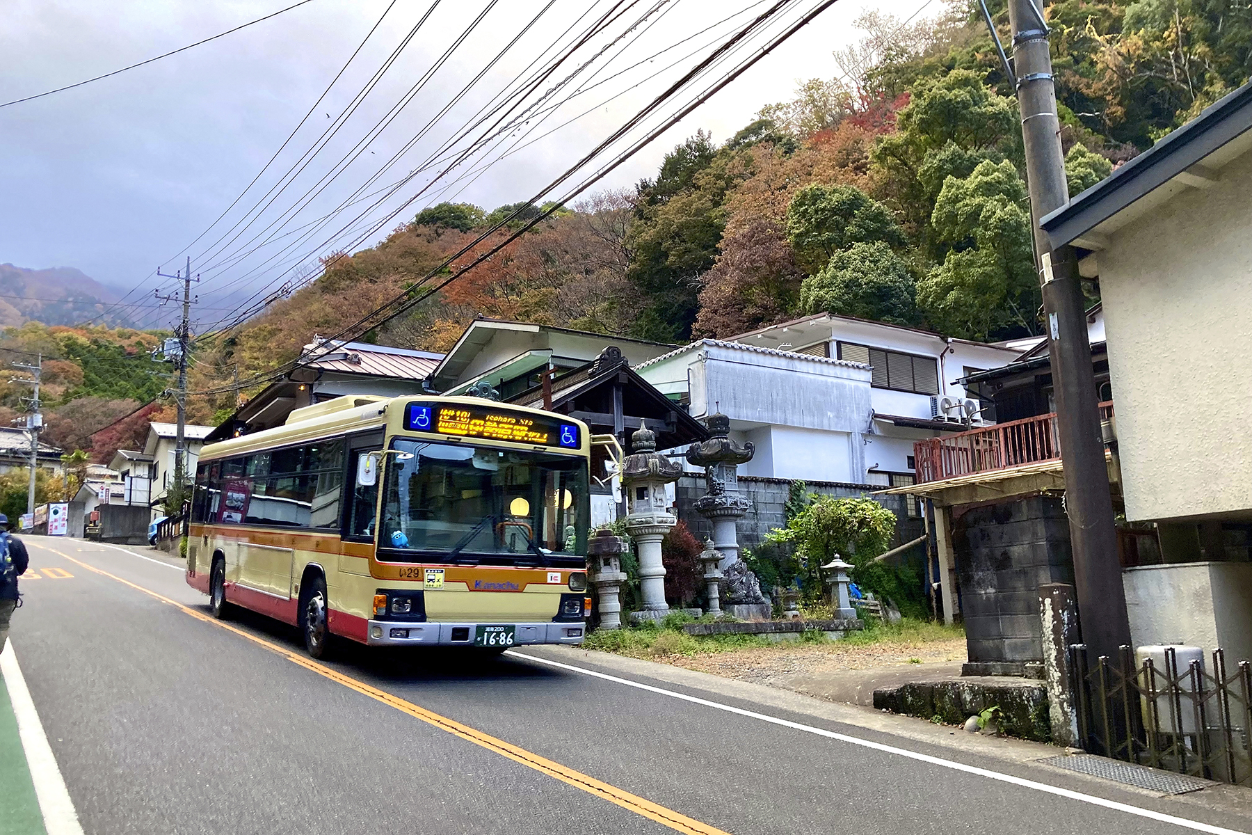 大山近くのバス通り