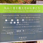 【画像】「山岳信仰」の聖地！ 初詣から年末詣まで1年中楽しめる「大山登山」の魅力とは 〜 画像1