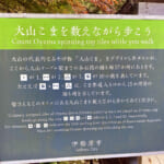 【画像】「山岳信仰」の聖地！ 初詣から年末詣まで1年中楽しめる「大山登山」の魅力とは 〜 画像1