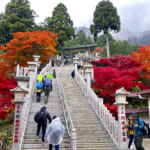 【画像】「山岳信仰」の聖地！ 初詣から年末詣まで1年中楽しめる「大山登山」の魅力とは 〜 画像1