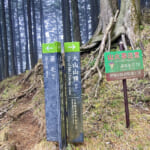 【画像】「山岳信仰」の聖地！ 初詣から年末詣まで1年中楽しめる「大山登山」の魅力とは 〜 画像1