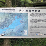 【画像】「山歩き初心者」におすすめ！　 自然も温泉も楽しめる「芦ノ湖11kmコース」とは 〜 画像1