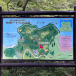 【画像】「山歩き初心者」におすすめ！　 自然も温泉も楽しめる「芦ノ湖11kmコース」とは 〜 画像1