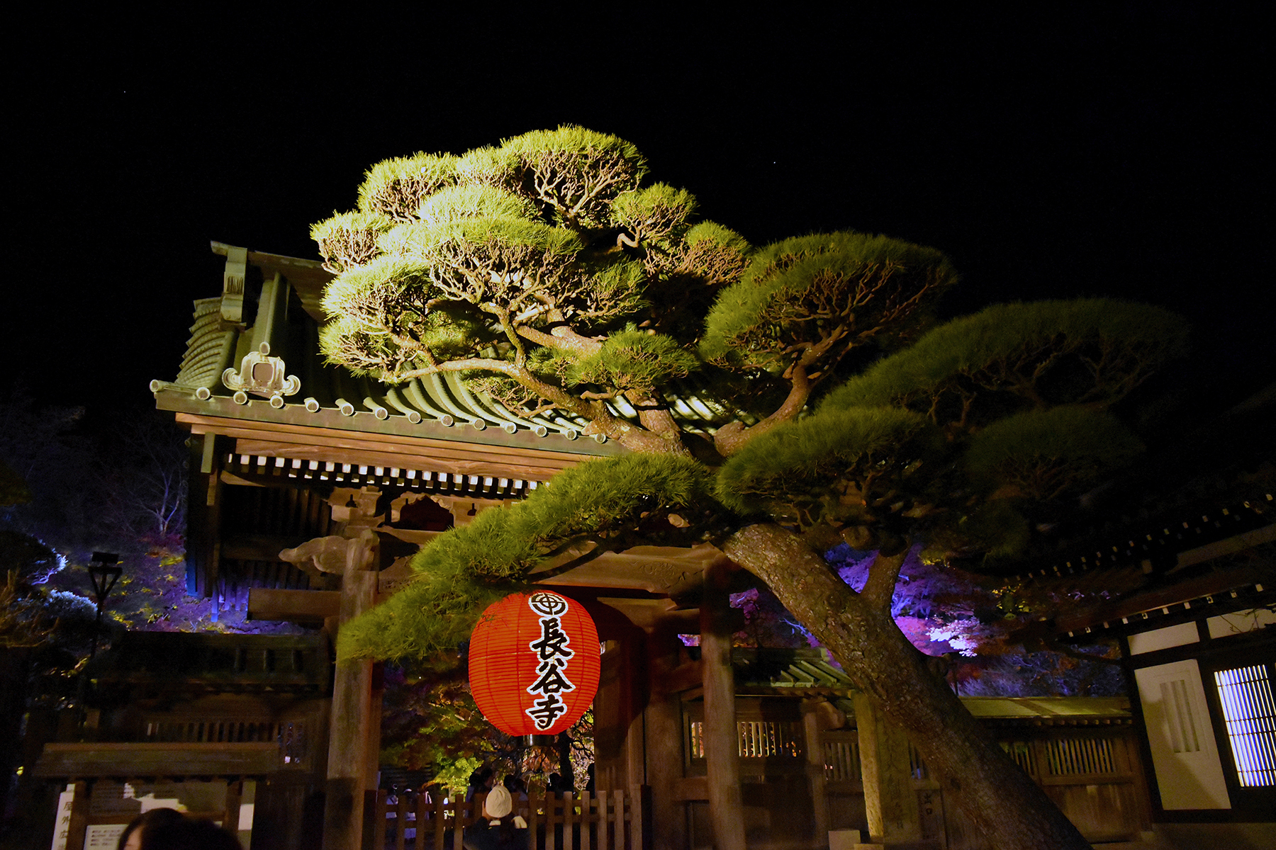 ライトアップされた長谷寺