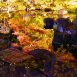 【画像】鎌倉のパワースポット「長谷寺」　ライトアップされた紅葉を愛でながら夜間拝観 〜 画像1