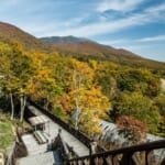 網張温泉キャンプ場の足湯と紅葉