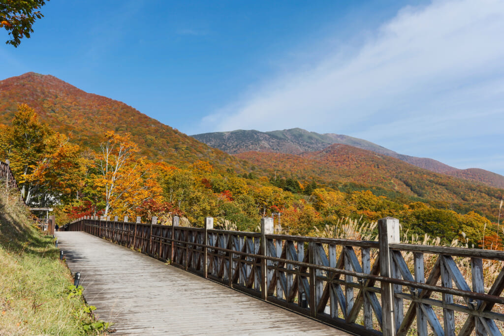 岩手山の紅葉