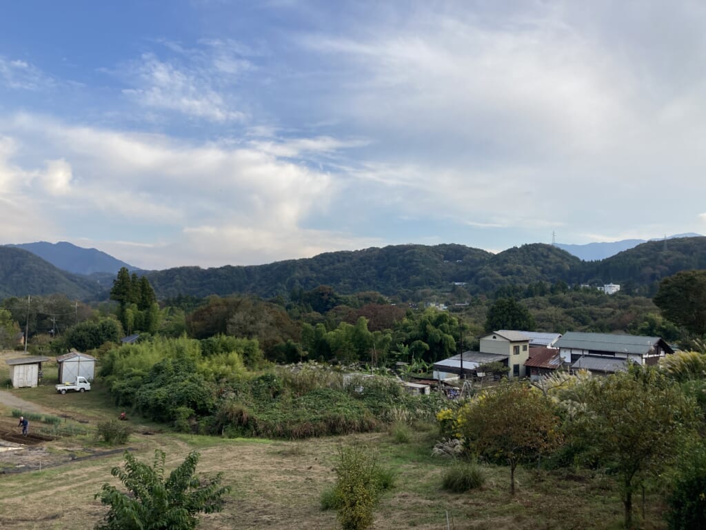 藤野