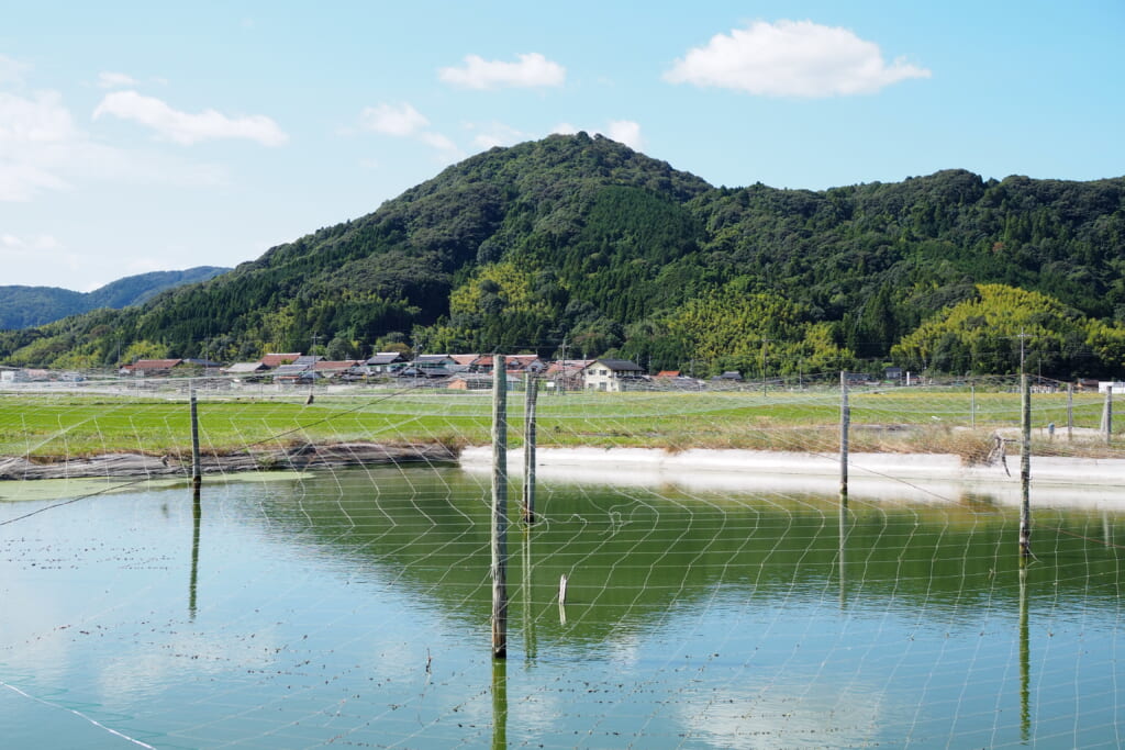 姫乃たま 里咲りさ どじょうすくい 島根県