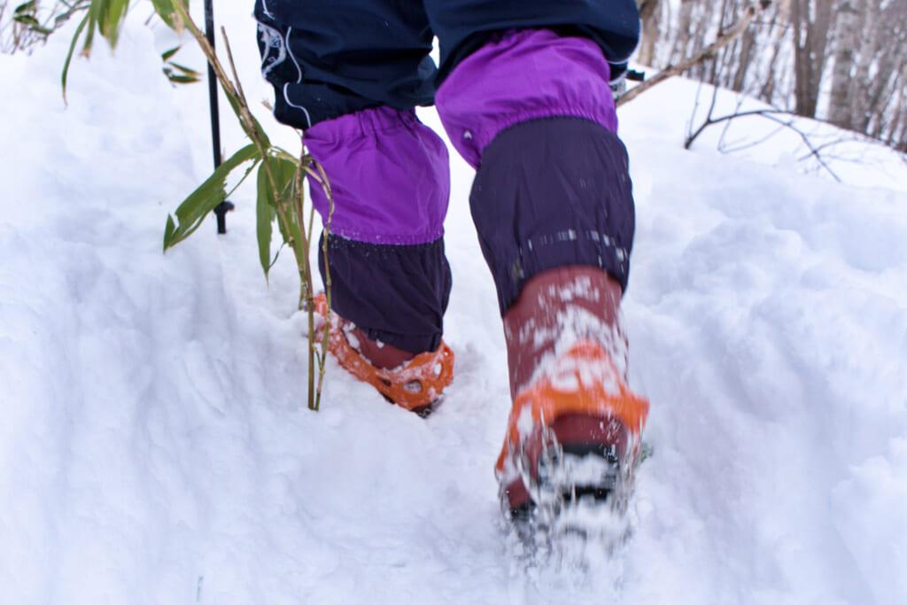 雪上を歩く