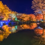 【画像】春以外にも咲く桜があるってホント!?　紅葉や雪とのコラボも見られる全国の〝秋冬桜〟スポット9選 〜 画像1