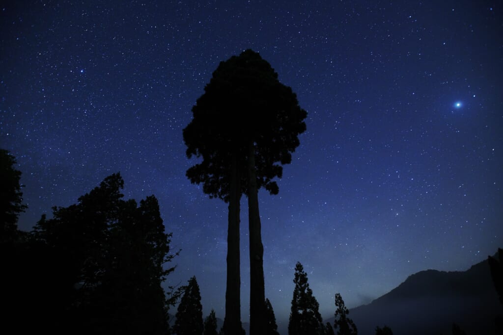 夜のキャビンと星空