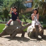 【画像】生き物との距離が驚くほど近すぎる！　日本最大級の爬虫類・両生類動物園「体感型動物園iZoo」 〜 画像1
