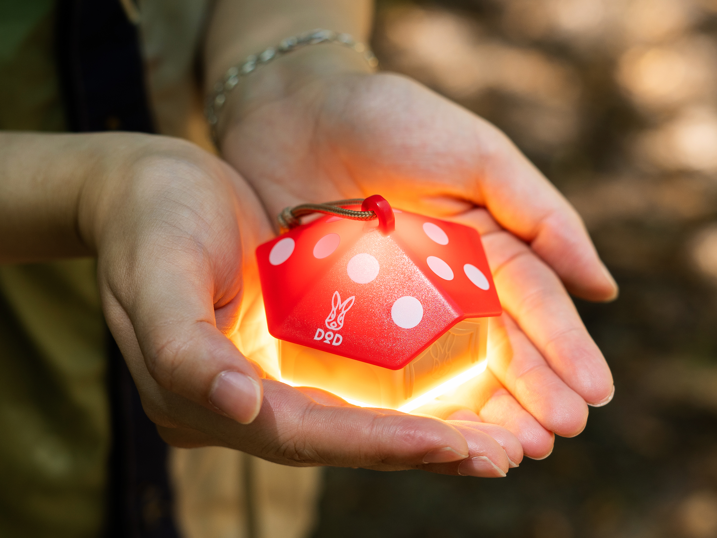 kinoko_light_01_l1_987_rd_top_