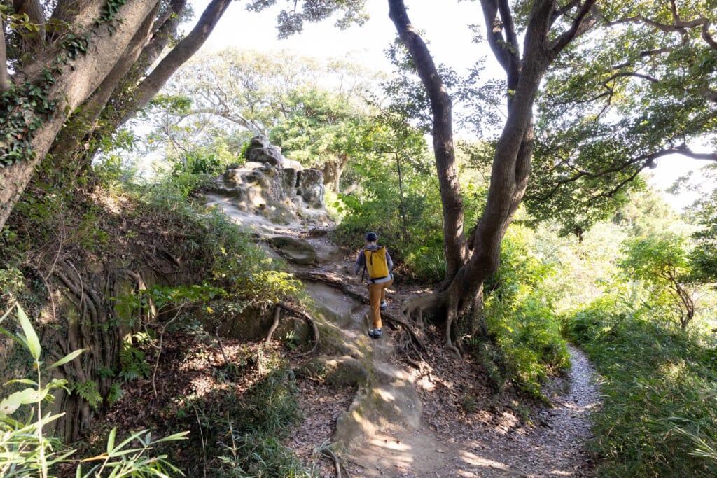 岩場も多い天園ハイキングコース