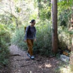 【画像】歴史の足跡をたどりながら「これぞ鎌倉！」な絶景を満喫！　北鎌倉トレッキングルポ【後編】 〜 画像1