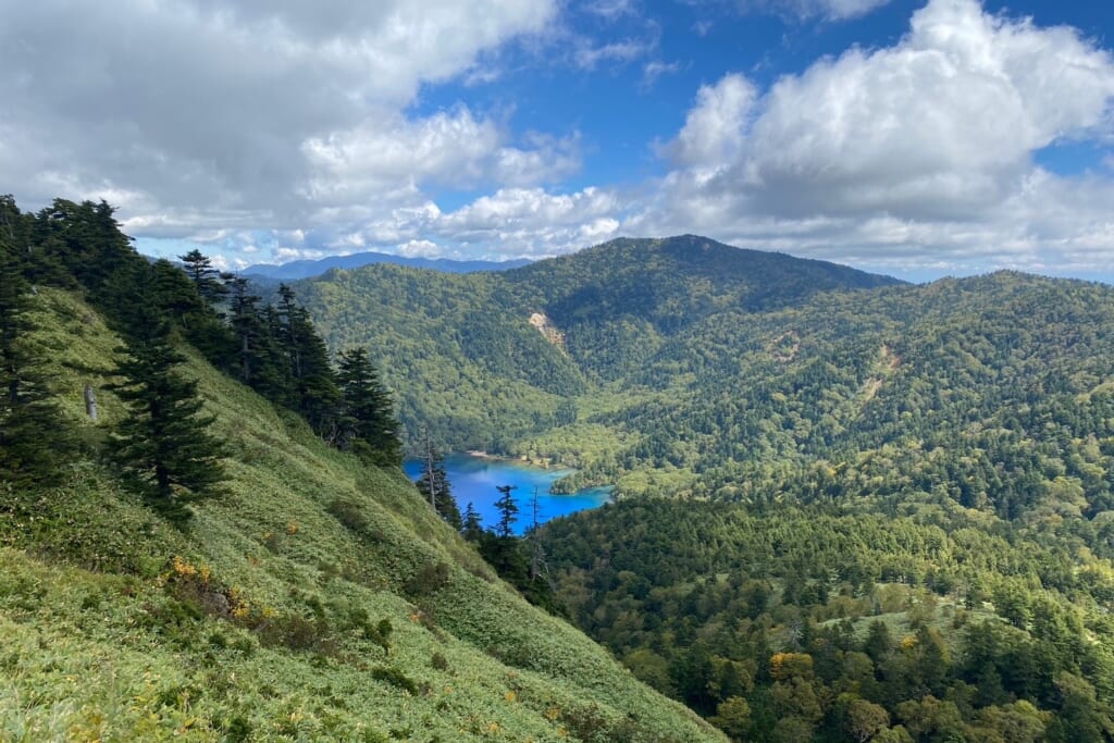 大沼池遠景