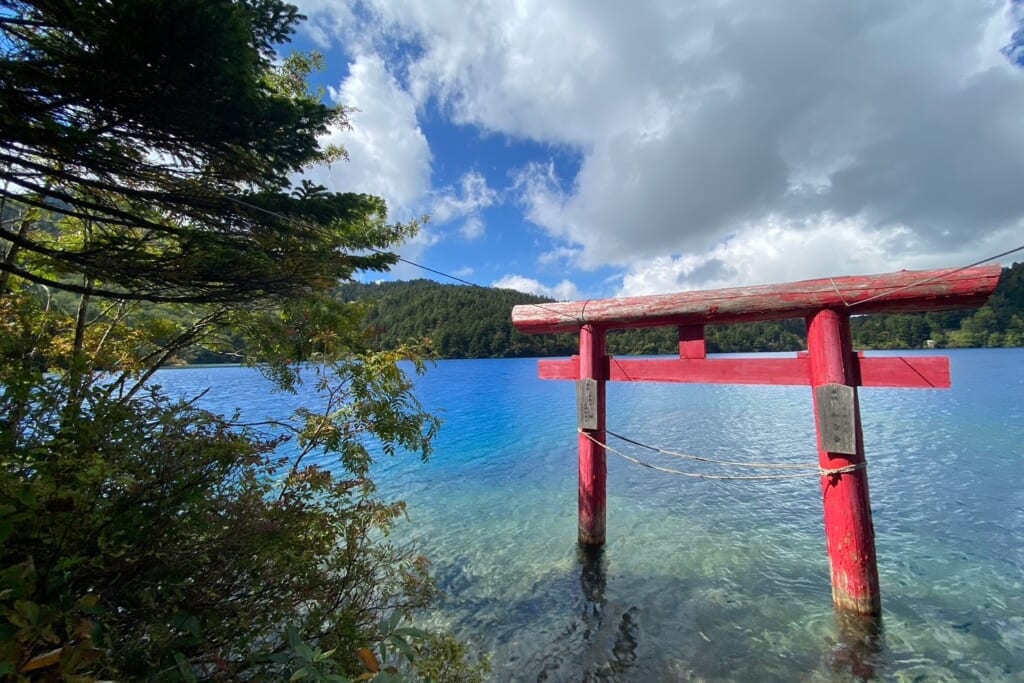 大沼池の鳥居