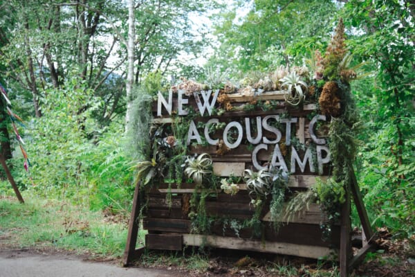 New Acoustic Campのルポ