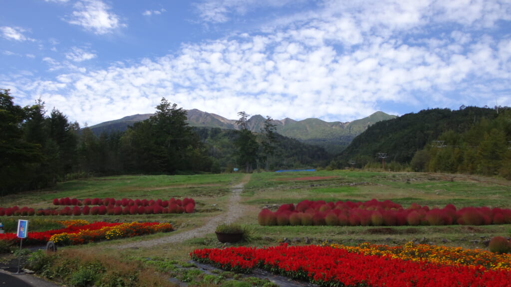 鹿ノ瀬駅から見る御嶽山