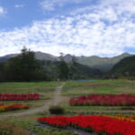 【画像】千年もの昔から信仰され続ける活火山。大自然の底力に圧倒される神秘の霊峰・御嶽登山ルポ【前編】 〜 画像1