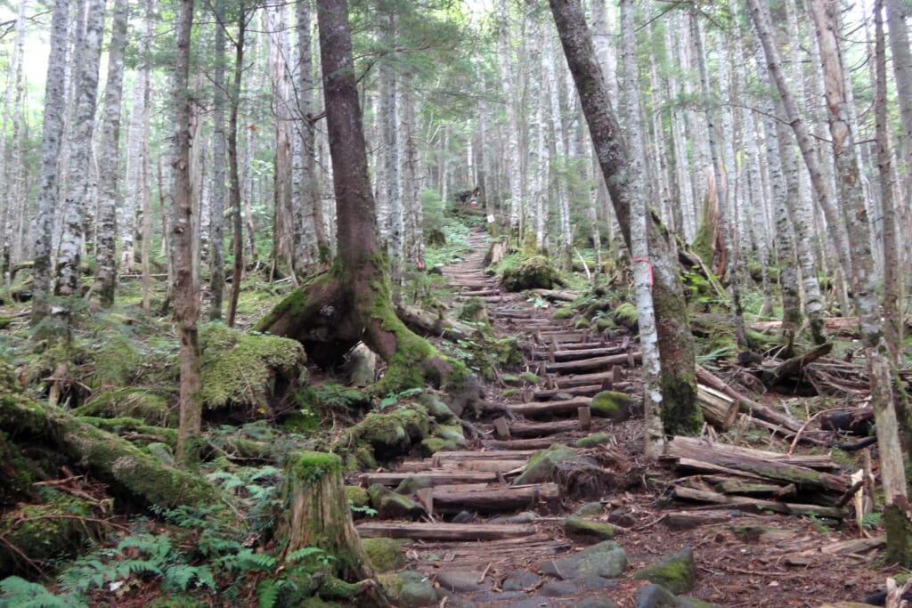 御嶽山の登山道