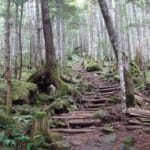 【画像】温泉経由のルート選択でまさかの展開に……。最後の噴火から9年目の活火山・御嶽登山ルポ【後編】 〜 画像1