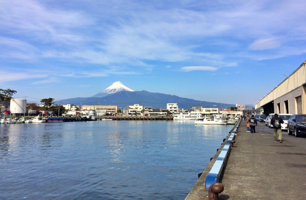 魚介が豊富に水揚げされる沼津港