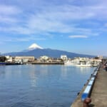 【画像】沼津港深海水族館に聞く！　深海のおいしい生物たち【へんないきもの・深海魚編 vol.03】 〜 画像1