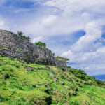 【画像】咬まれるとマムシよりも危険!?　南西諸島で恐れられる毒ヘビ・ハブの〝生態と対策〟とは 〜 画像1